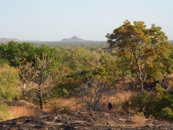 Étude cartographique